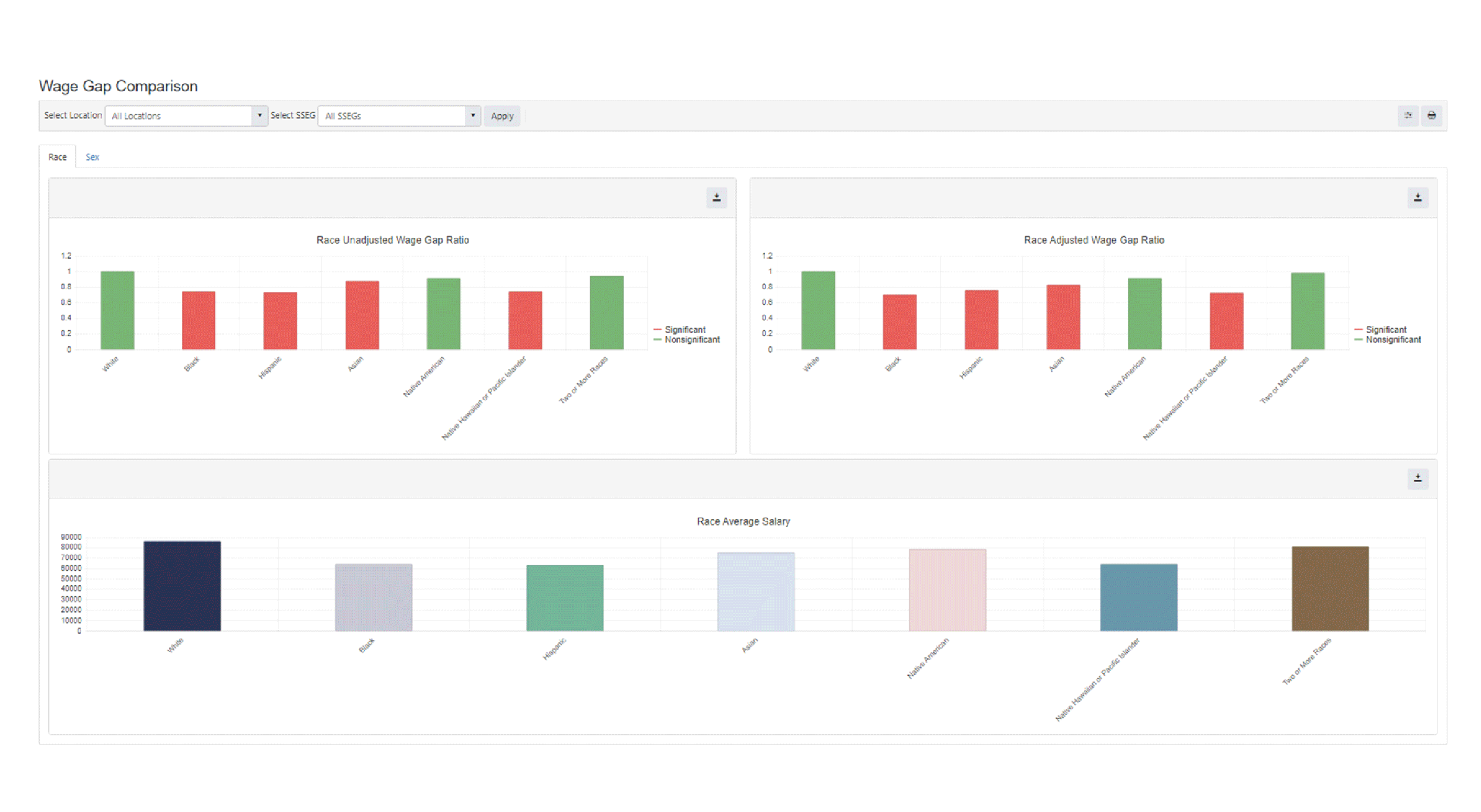 EEOPay pay equity software dashboard.