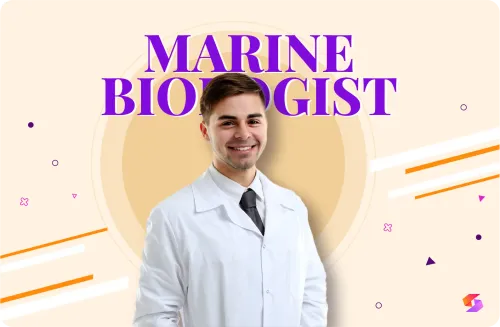 Blog alt