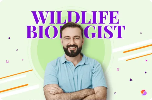 Blog alt